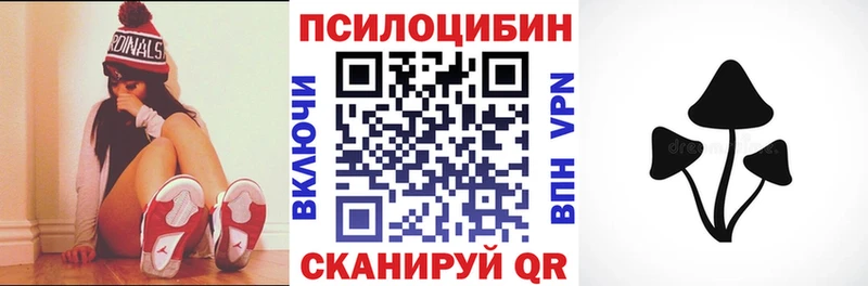Купить  Дедовск  Галлюциногенные грибы GOLDEN TEACHER 